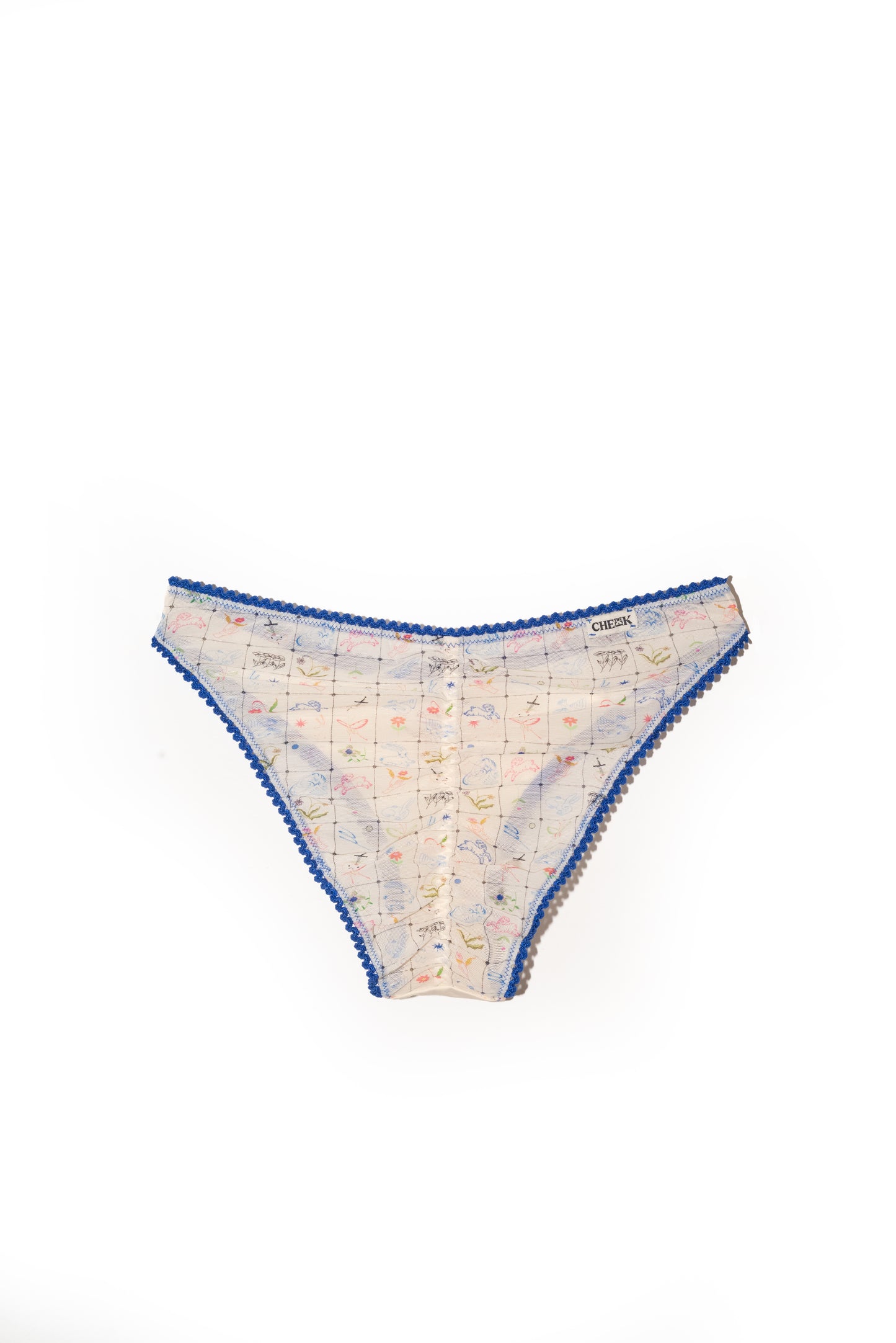 THE AGUEB BRIEF